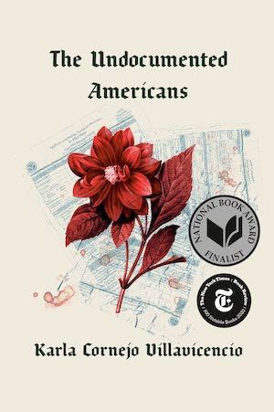Недокументированные американцы от Карлы Корнехо Вильявисенсио обложка книги