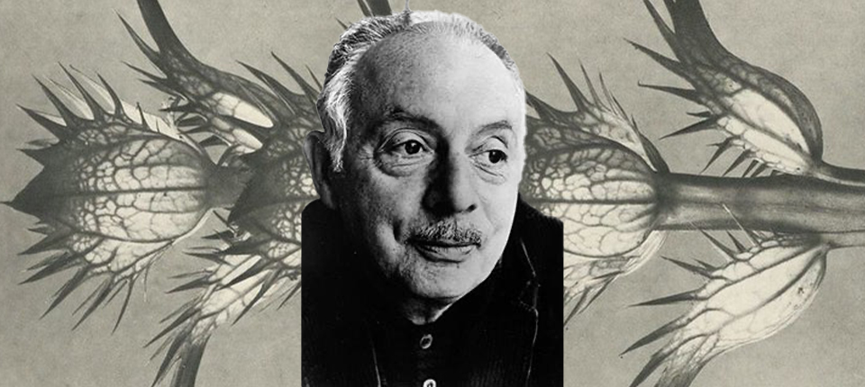 StanleyKunitz-.jpg