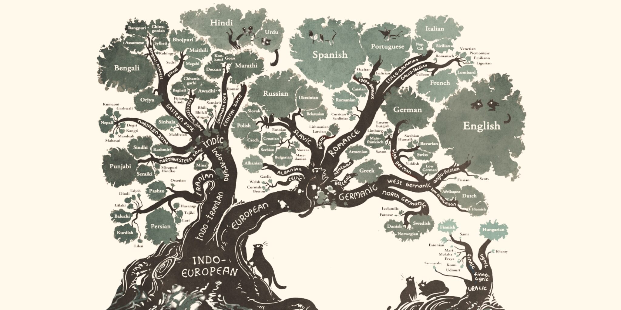 etymology.jpg