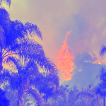 palisades-fire.png