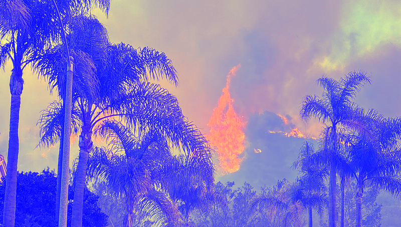 palisades-fire.png