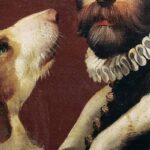 1782582023_The-Dogs-Gaze.jpg