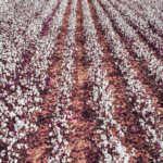 longform-banner-57.png